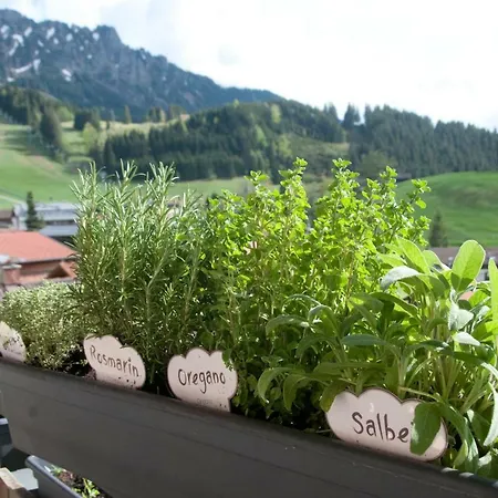 Apartment Erlebnis *