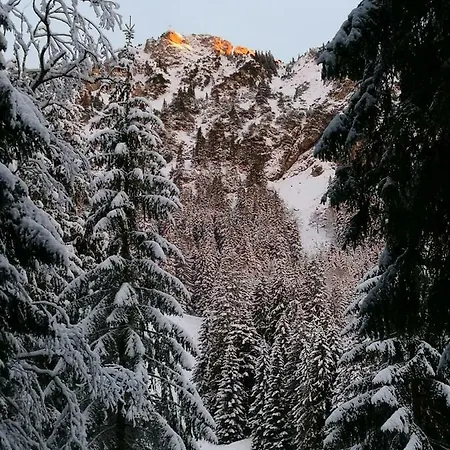 Lägenhet Erlebnis Jungholz