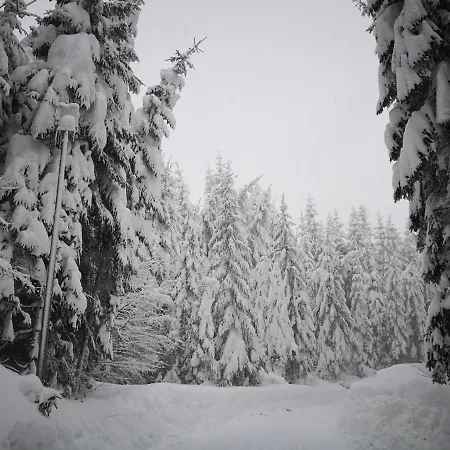 Lägenhet Erlebnis Jungholz