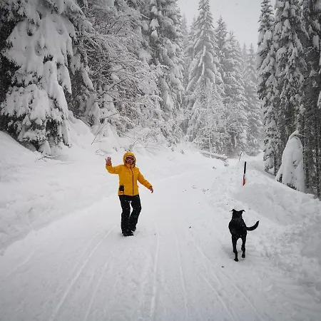 Erlebnis Lägenhet Jungholz