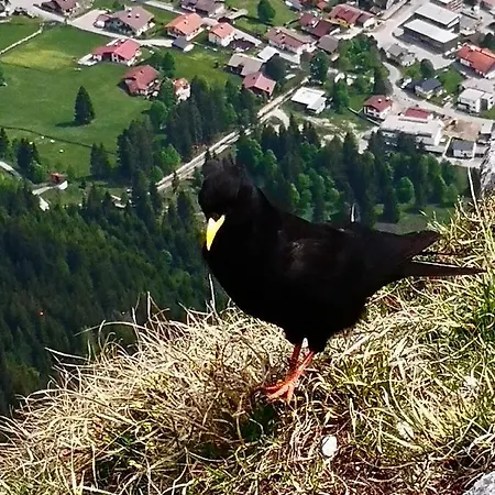公寓 Erlebnis
